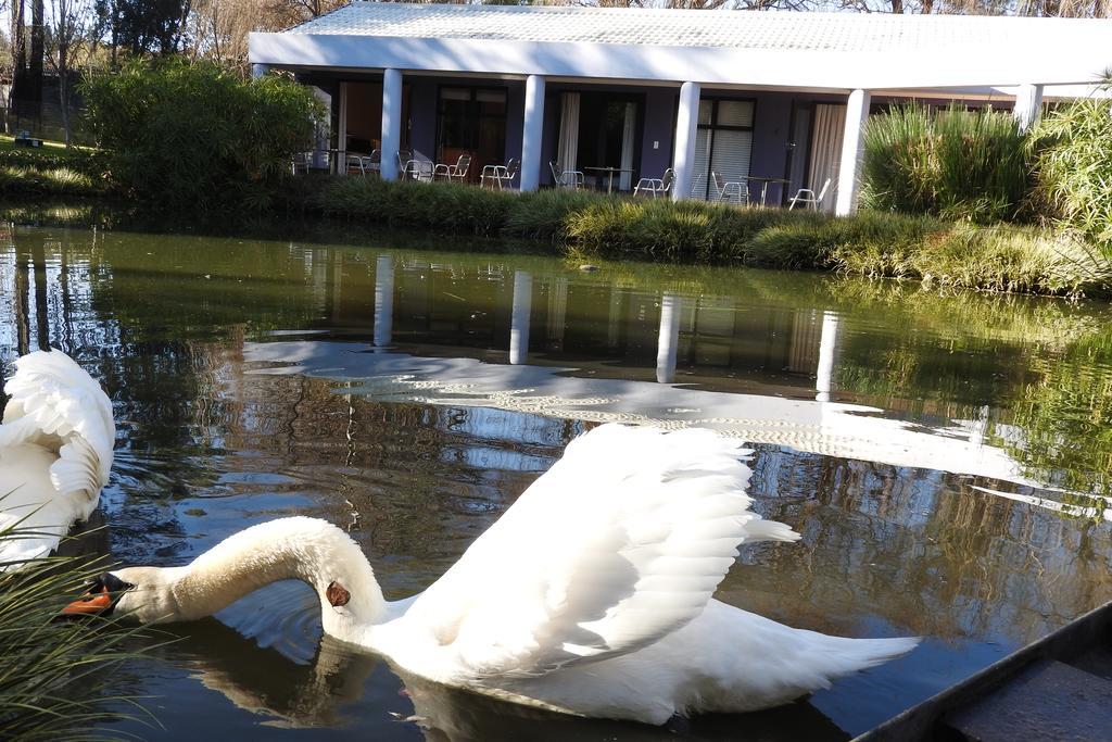 Willow Place Guest House Midrand Esterno foto